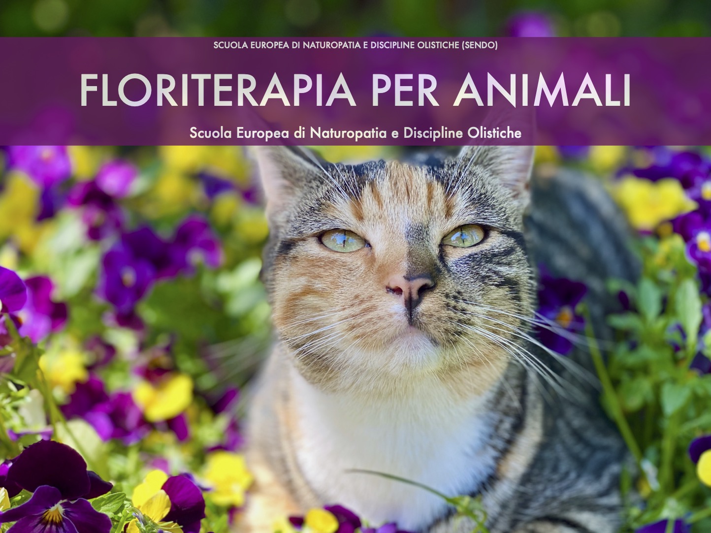 Floriterapia per animali