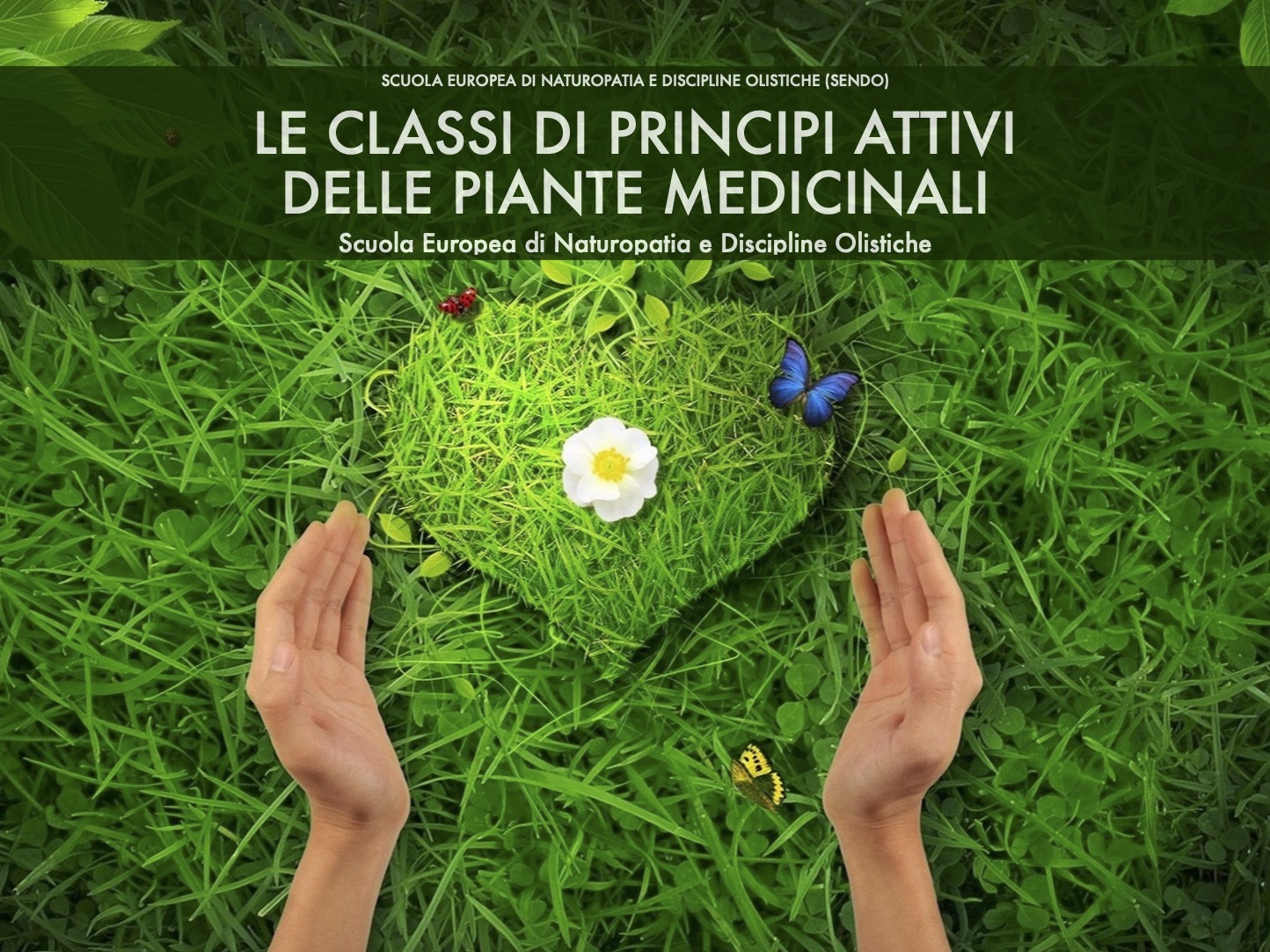 Le classi di principi attivi delle piante medicinali