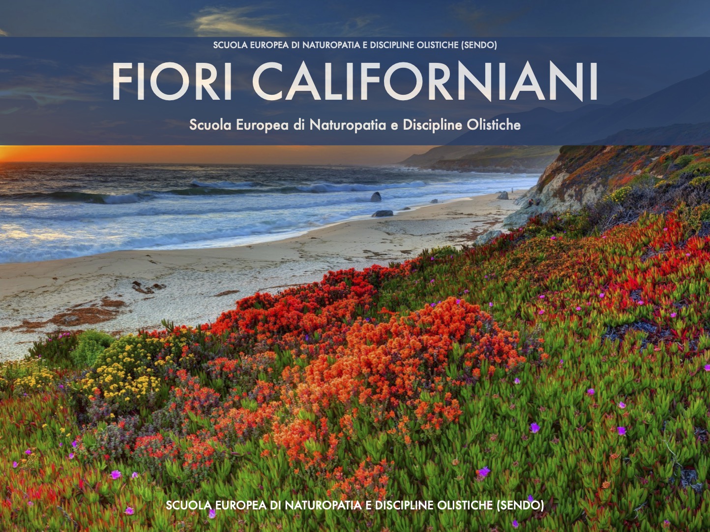 manuale di fiori californiani