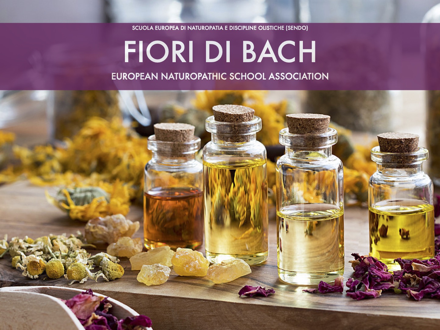 I fiori di Bach