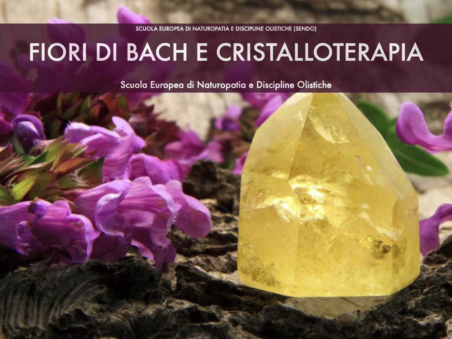 manuale di Fiori di Bach e cristalloterapia