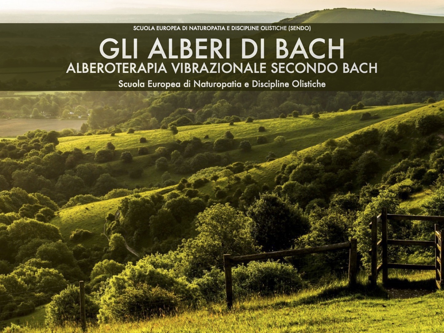 Gli alberi di Bach