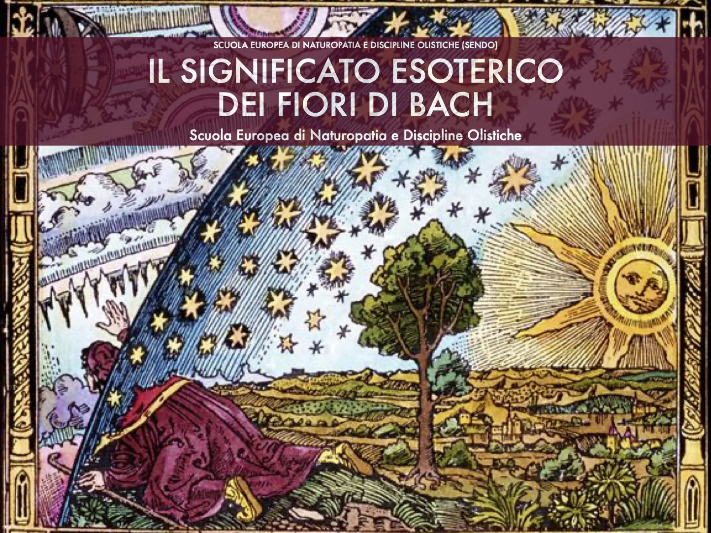 Il significato esoterico dei fiori di Bach