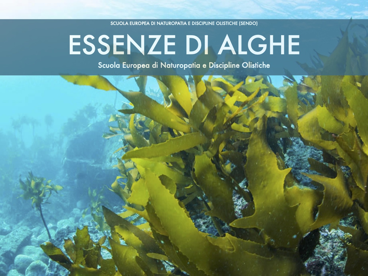 manuale di Essenze di alghe