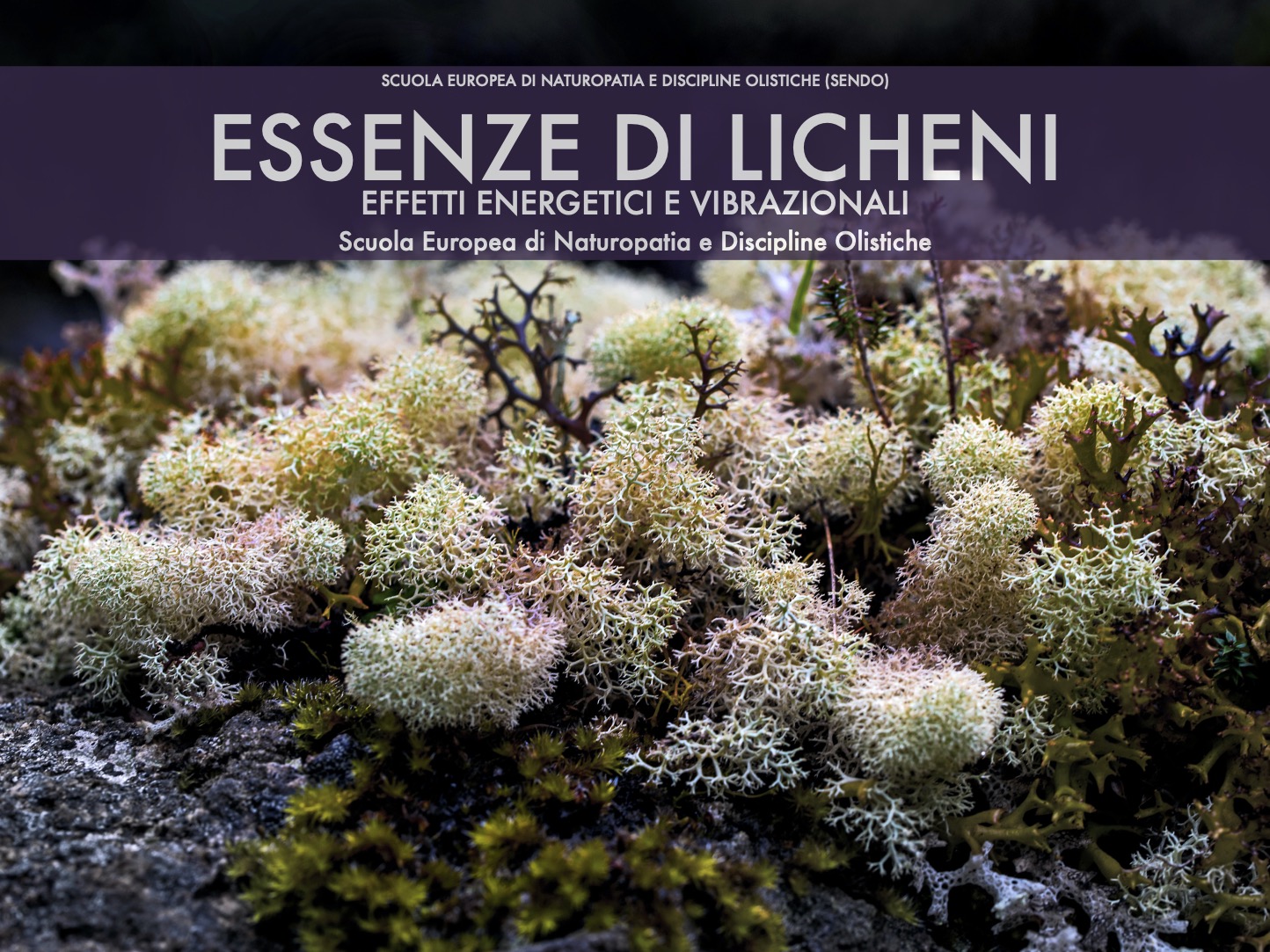 manuale di Essenze di licheni