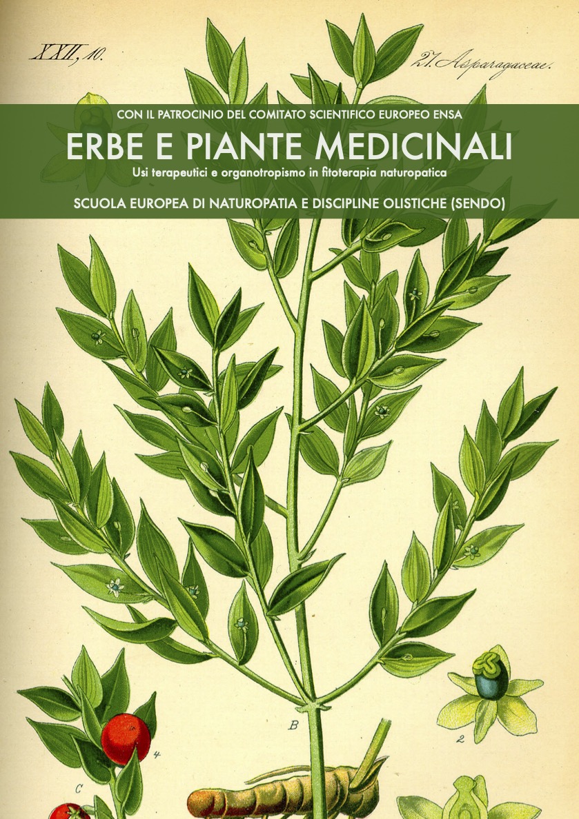 Erbe e piante medicinali