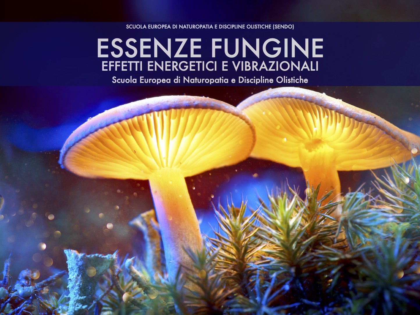 Essenze fungine