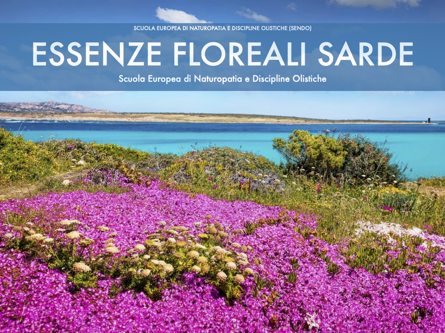 Essenze floreali sarde